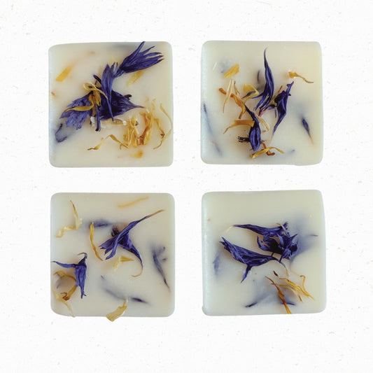 Blueberry & Vanilla Wax Melts