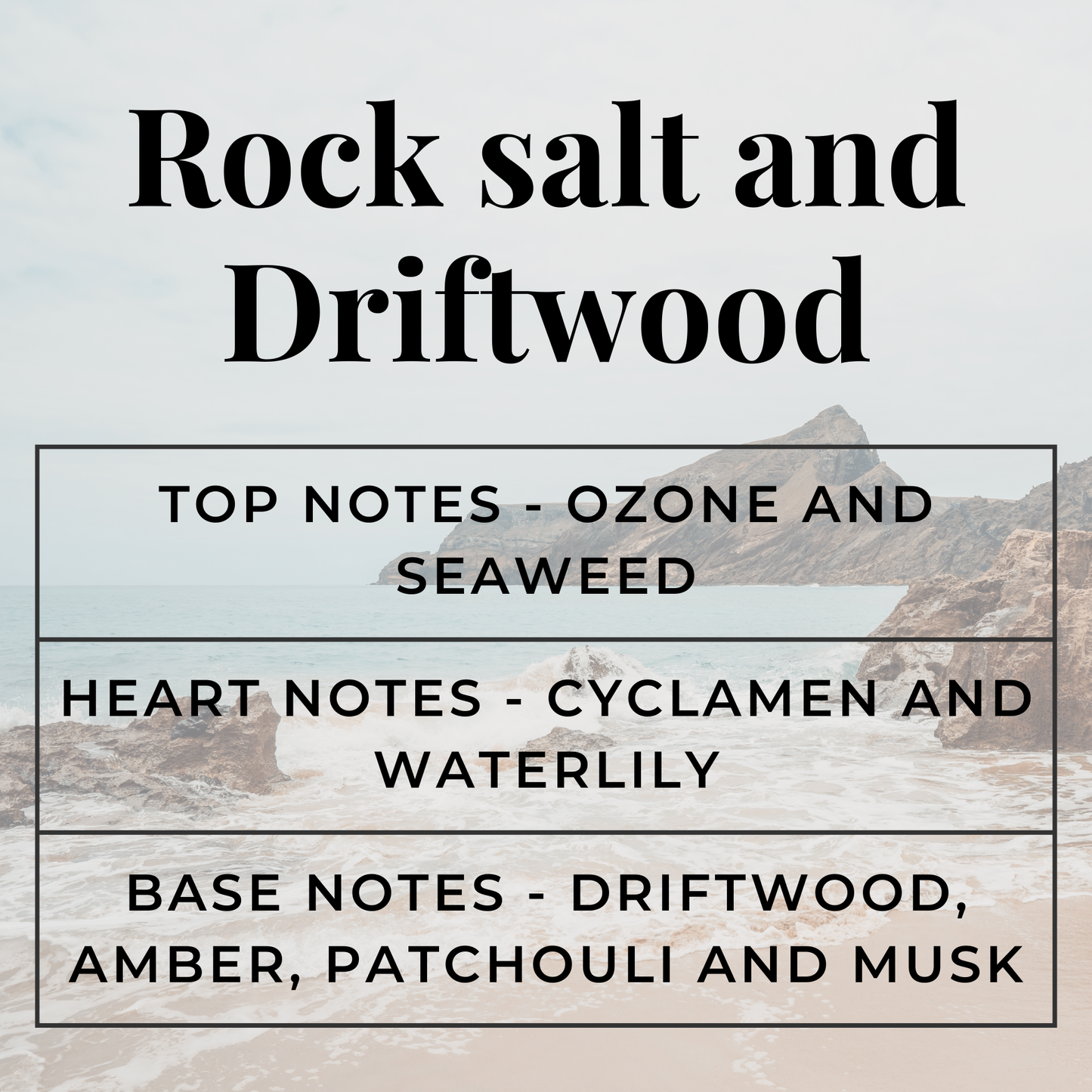 Rock Salt & Driftwood Wardrobe Freshener